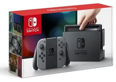 Nintendo Switch with Gray Joy-Con - (Loose, Nintendo Switch)